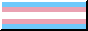 trans flag